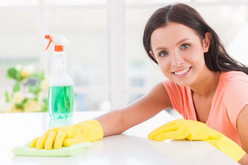 Professional mattress cleaning in Blackheath for a fresher bedroom