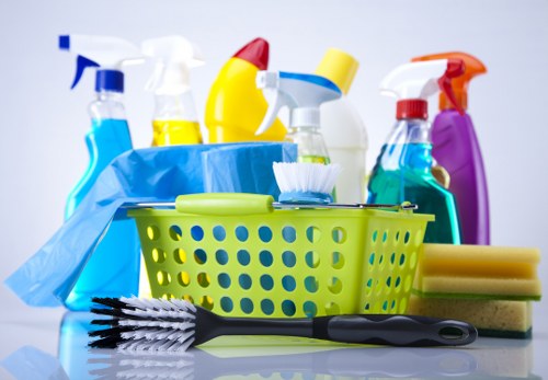 Professional carpet cleaning in a Blackheath home interior
