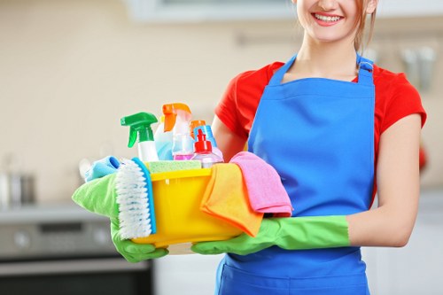 Sofa cleaning in Blackheath with fresh upholstery care