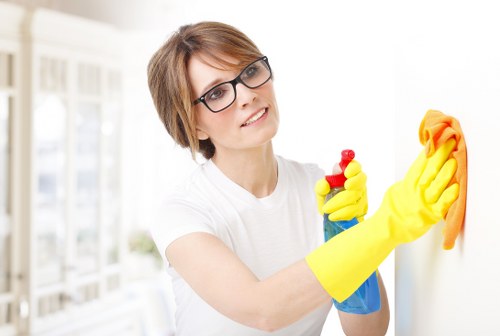 Carpet stain removal service in Blackheath interior