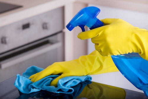 Deep carpet cleaning equipment treating a household rug