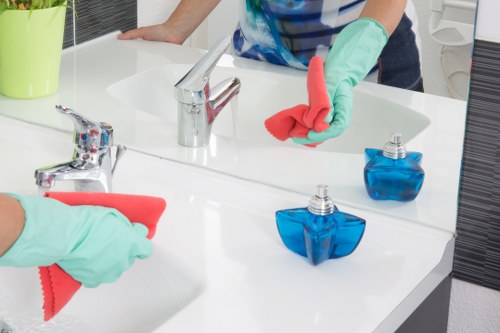 Detailed carpet cleaning process by Blackheath Carpet Cleaners in a home interior