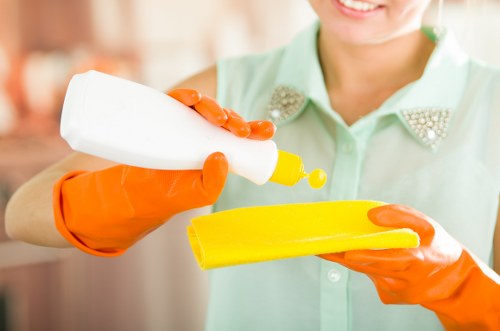 Rug and fabric stain removal process in Blackheath
