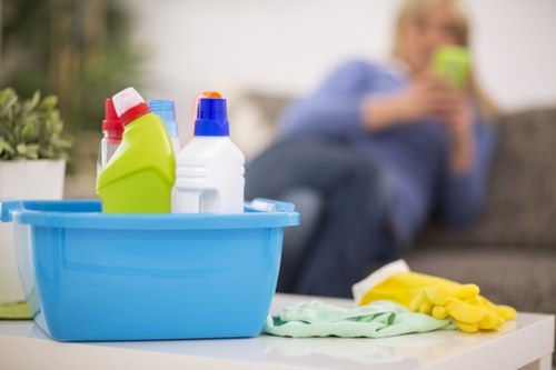 Professional stain cleaning on upholstery in Blackheath