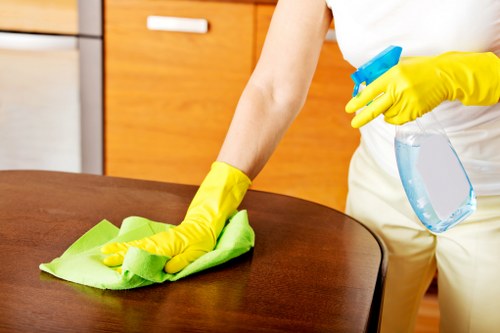 Deep cleaning process for sofa upholstery in Blackheath