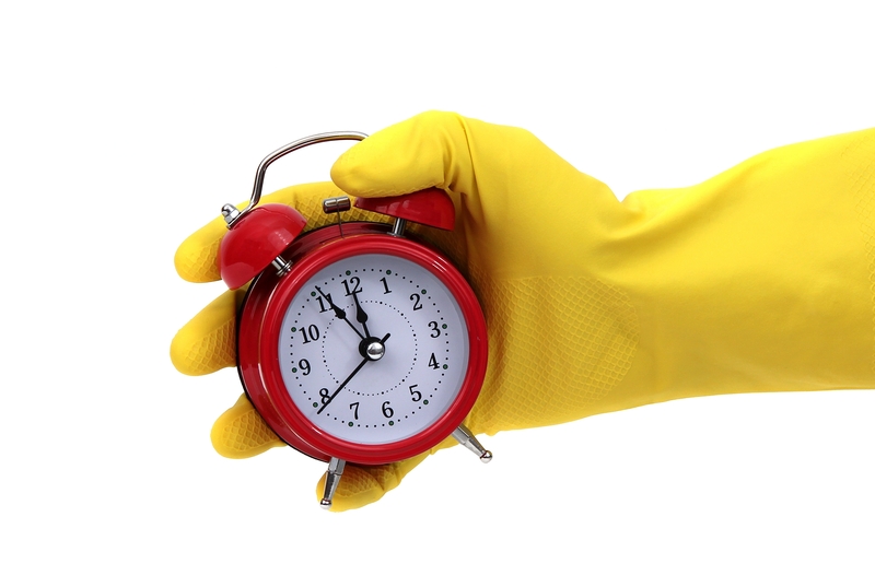 Carpet cleaning carpet cleaners