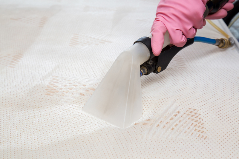 professional cleaners clean